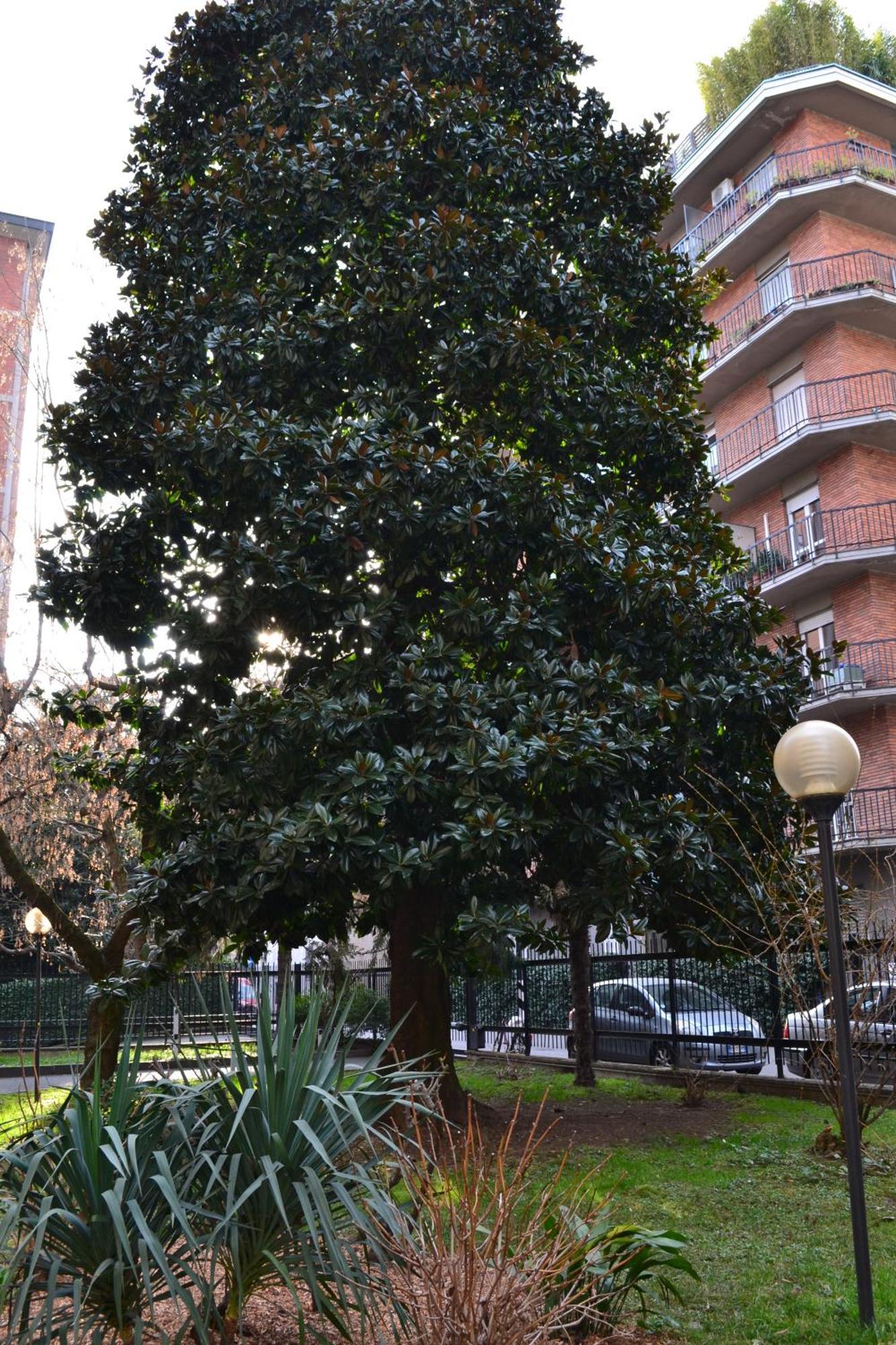 Mocenigo4 Milão Exterior foto